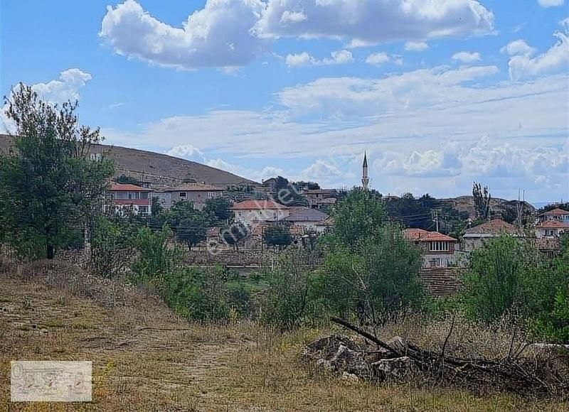 Amasya Merkez Bağlıca Köyü Satılık Tarla Amasya Merkez Bağlıca'da Süper Bahçe