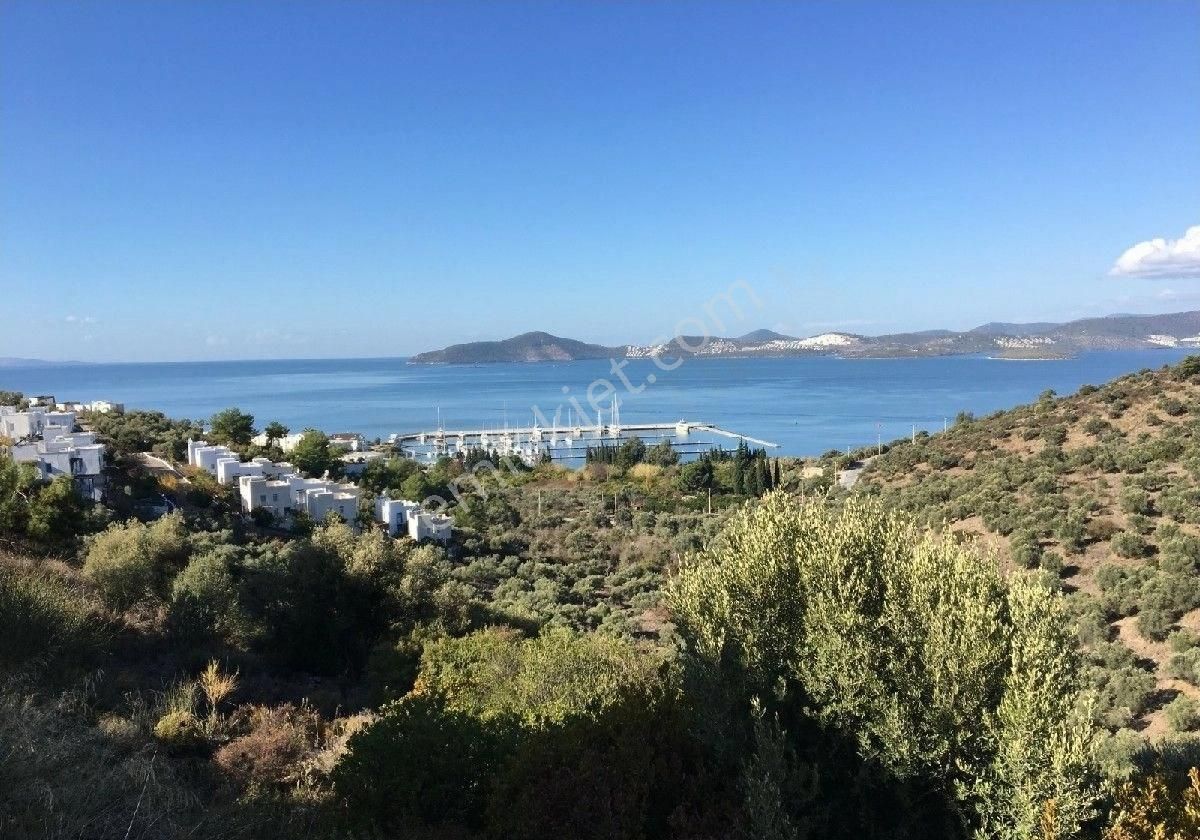 Muğla Milas Güllükte Satılık Tam Müstakil Full Deniz Manzaralı Villa - Görsel 11