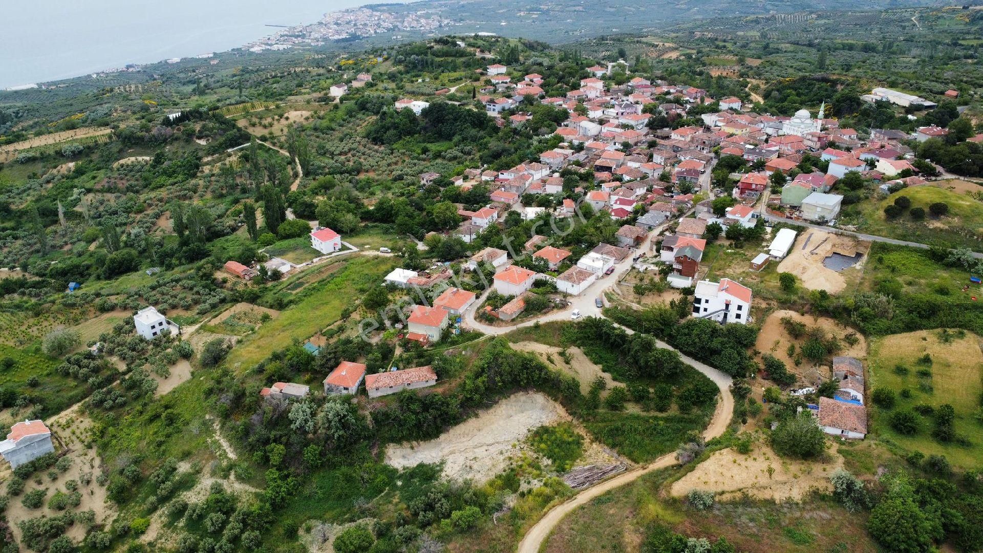 Şarköy Çınarlı Satılık Villa İmarlı Muhteşem konumda ARSALAR 
