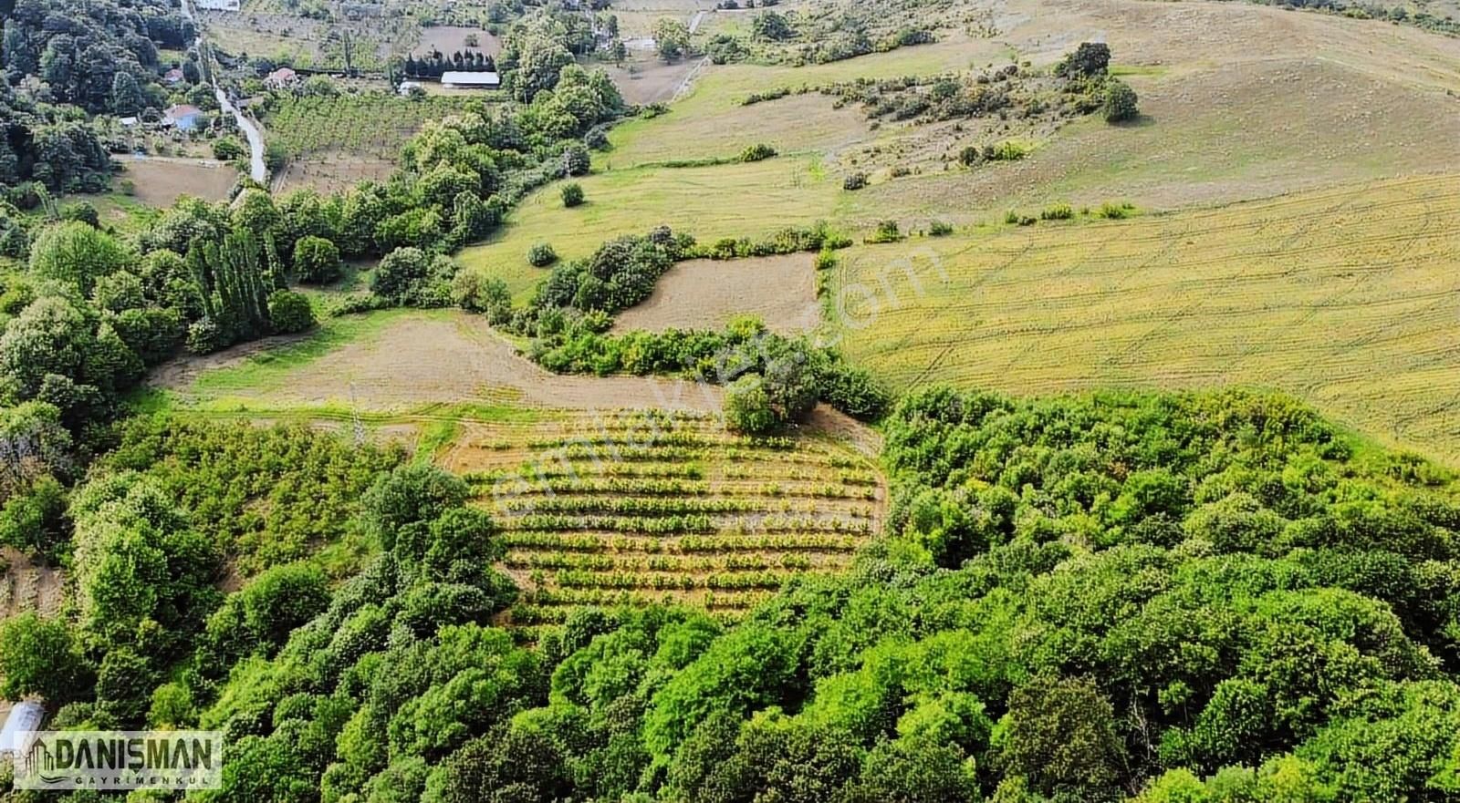 Çiftlikköy Dereköy Köyü Satılık Tarla DANIŞMAN'DAN ÇİFTLİKKÖY DEREKÖY'DE 8300m2 UYGUN ARAZİ