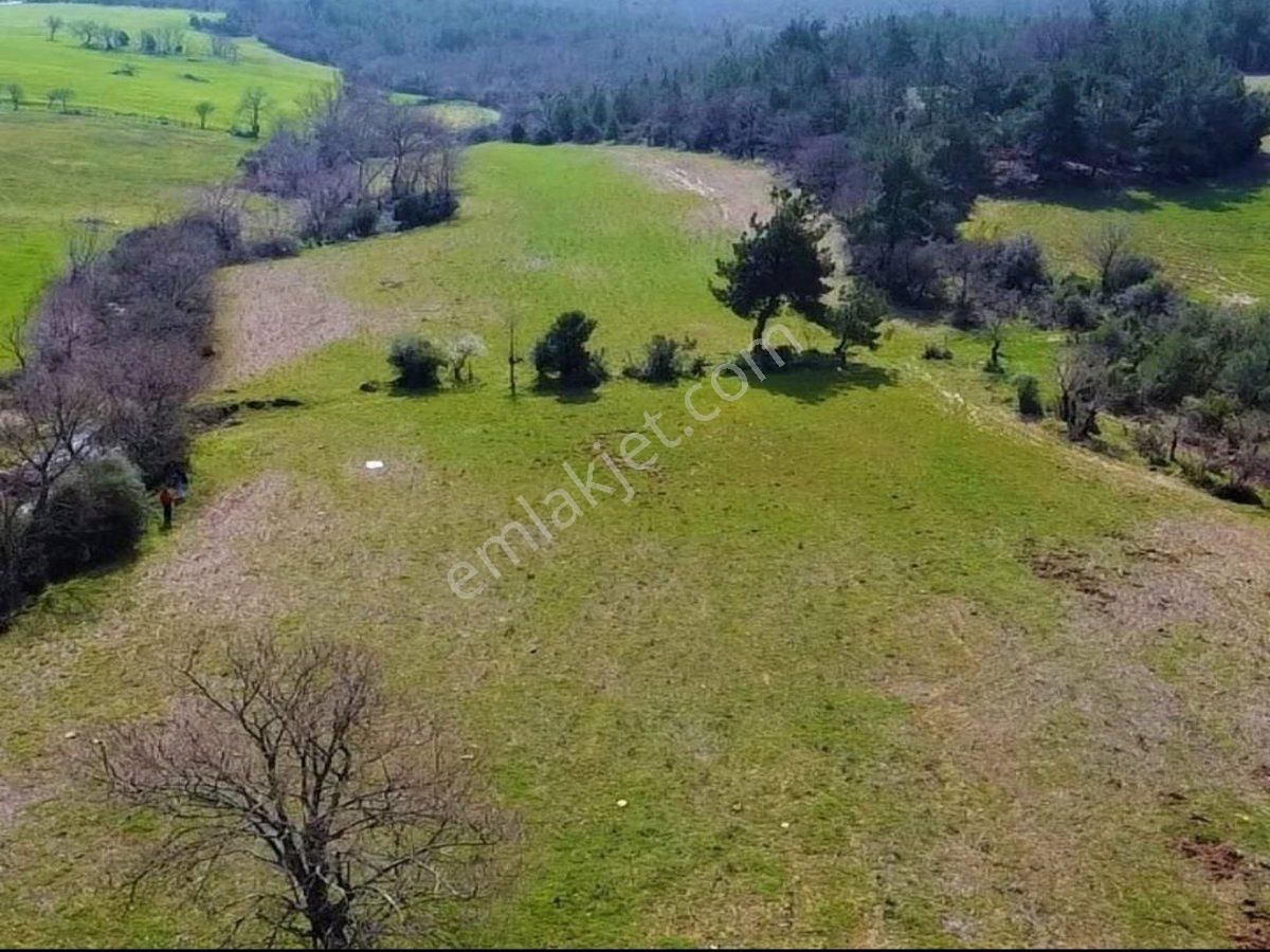 Lapseki Harmancık Köyü Satılık Tarla ÇANAKKALE LAPSEKİ HARMANCIK KÖYÜ 5936 M2 TARLA