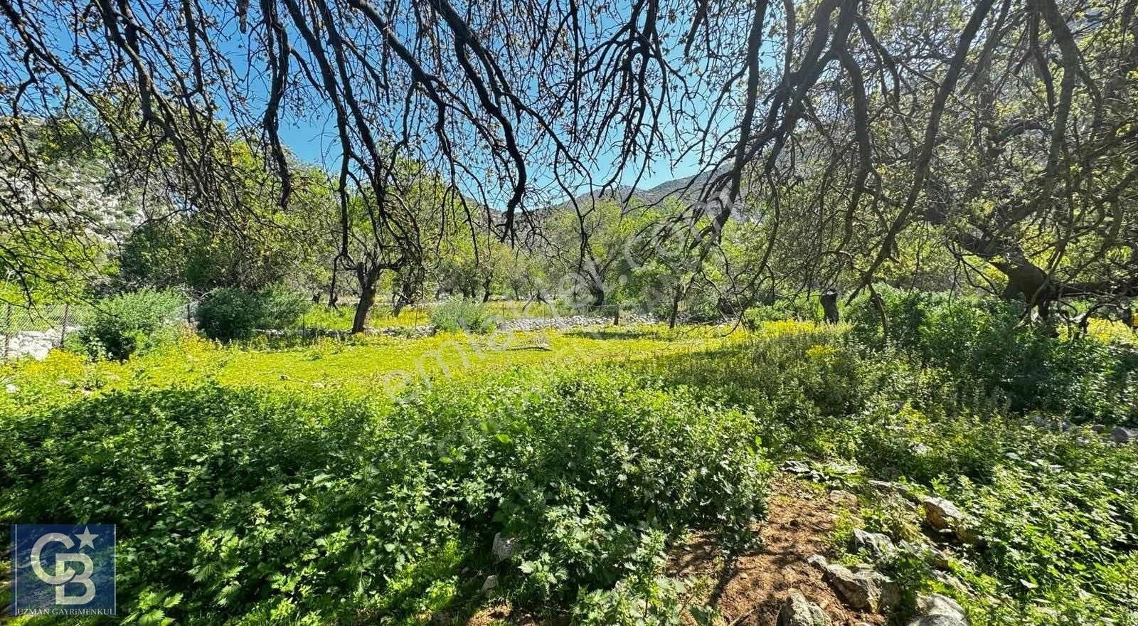 Marmaris Taşlıca Satılık Tarla CB UZMAN'DAN TAŞLICADA SATILIK YOLA CEPHELİ YATIRIMLIK TARLA