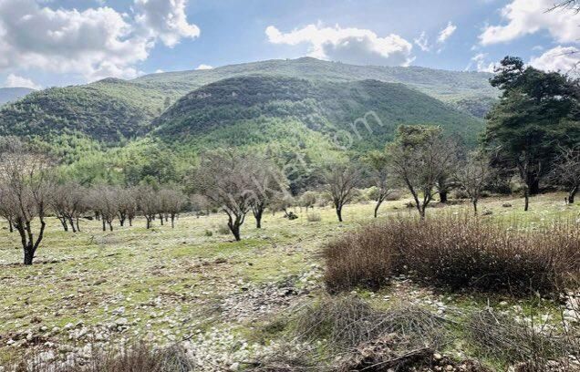 Kaş Hacıoğlan Satılık Tarla Kaş’ta yatırımlık villa yapımına uygun arsa