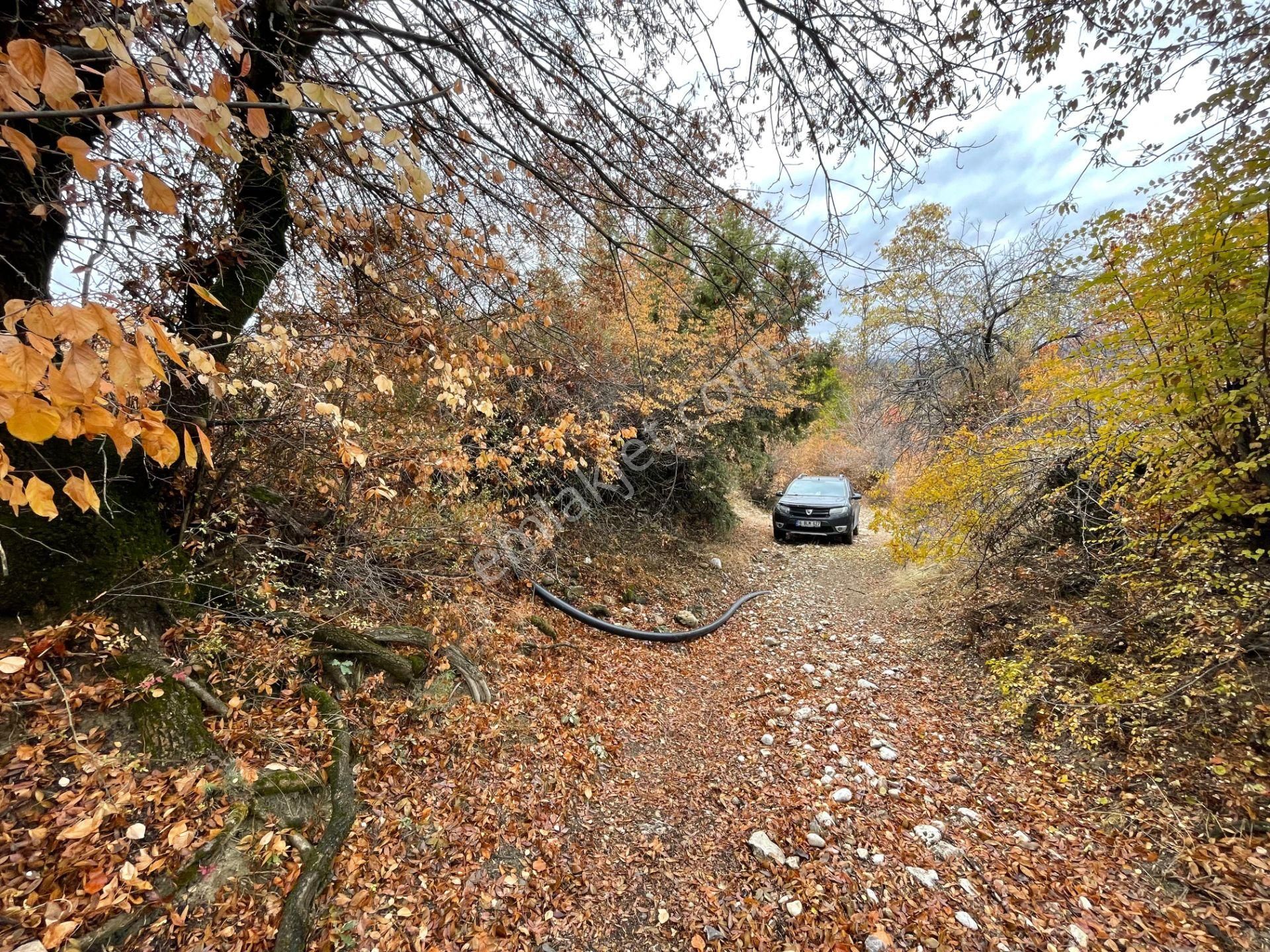 Mihalıççık Dinek Satılık Tarla Eskişehir Mihalıççık Da Yola Cephe Köye Yakın Satılık Tarla