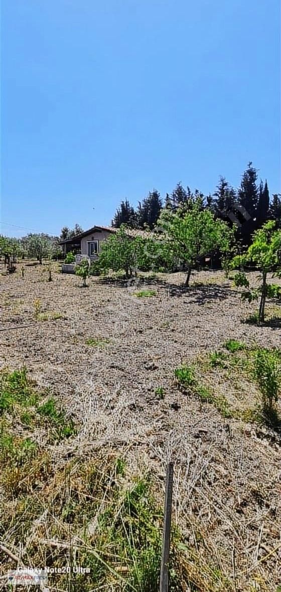 Urla Atatürk Satılık Müstakil Ev 1250 m2 Arsa içinde Satılık Müstakil Ev