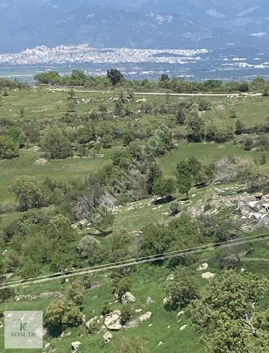 Burhaniye Kuyucak Satılık Bağ & Bahçe Burhaniye Kuyucak mahallesinde imar sınırı deniz manzaralı bahce