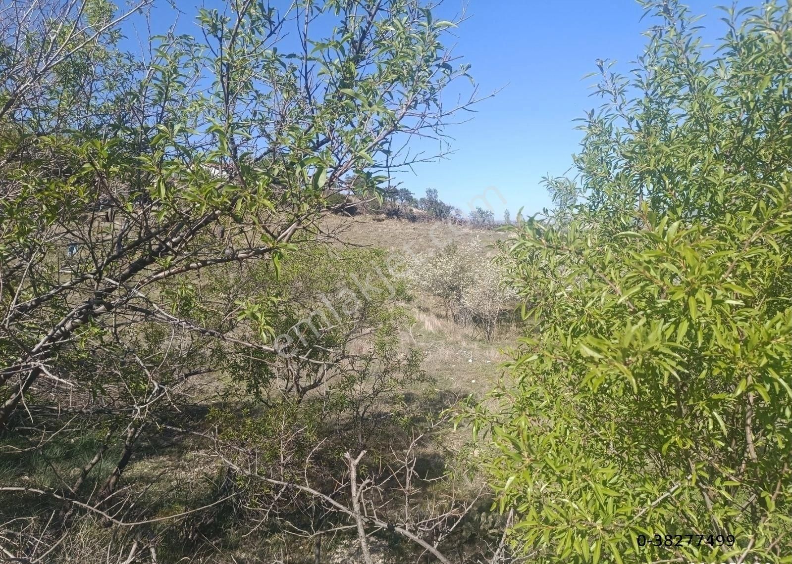 Isparta Merkez Yakaören Köyü (Merkez) Satılık Bağ & Bahçe Yatırımlık Arazi