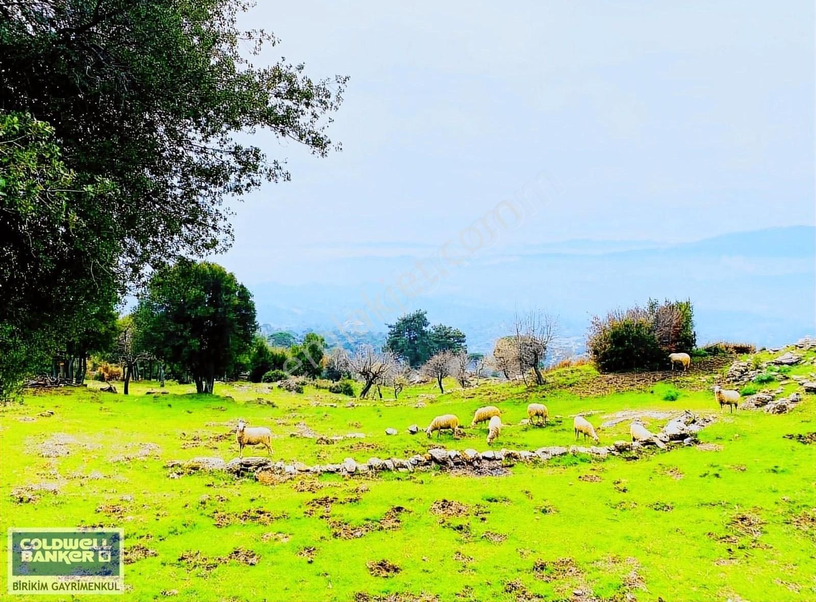 Çine Alabayır Satılık Tarla AYDIN'DA MUHTEŞEM DOĞA MANZARALI ETRAFI ÇEVİRİLİ 2045m2 ARAZİ