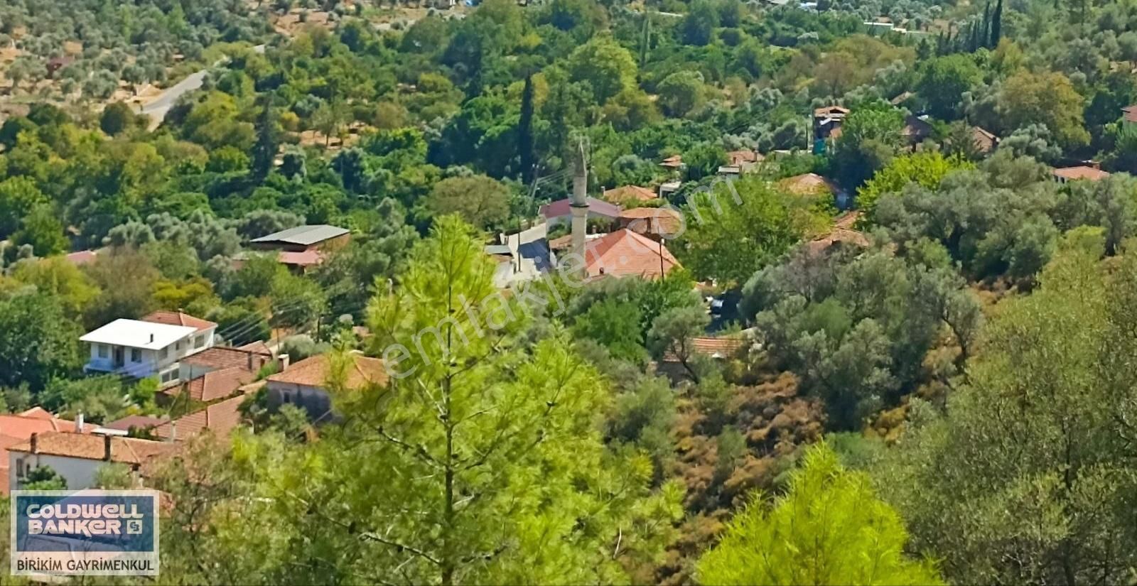 Milas Kandak Satılık Zeytinlik MİLAS'IN GÖZDE KÖYÜNDE 9155 M2 PANORAMİK MANZARALI ARAZİ