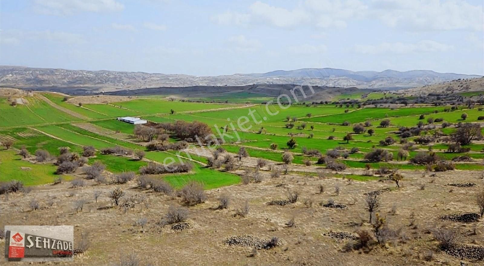 Ayaş Ortabereket Satılık Tarla ÇANILLI BARAJI MANZARALI SAKİN SESSİZ KONUMDA 5300 M2 TEK TAPU