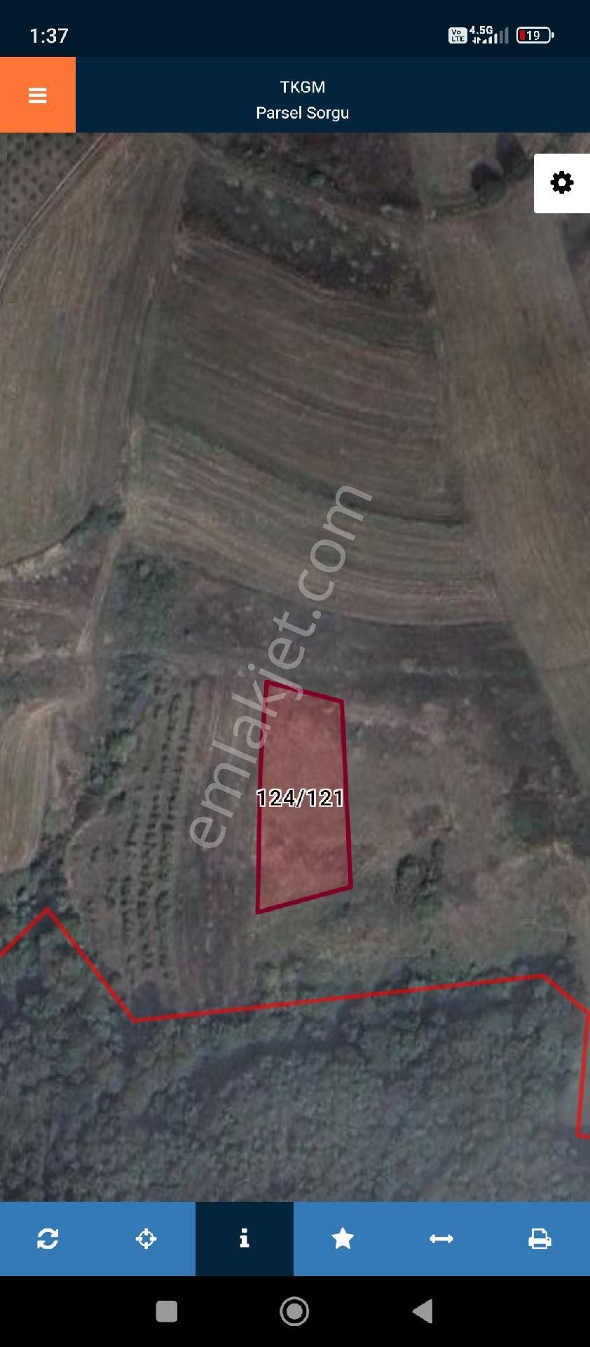 Senelik Kiralık Tarla