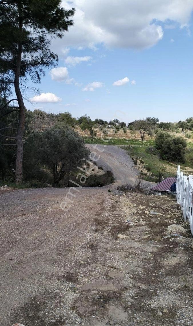 Hisse Tapulu 356 M2 - Görsel 30