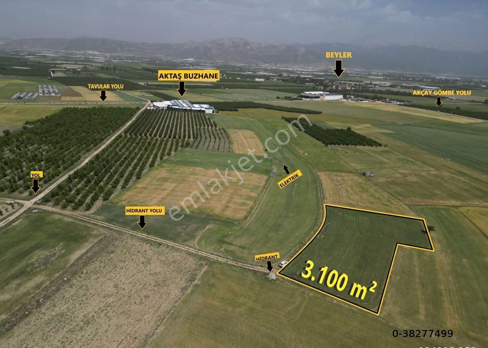 Elmalı Tavullar Satılık Tarla ELMALI TAVULLAR MAH.UYGUN FİYATLI  3.100 m² YATIRIM FIRSATI TARLA SATILIKTIR