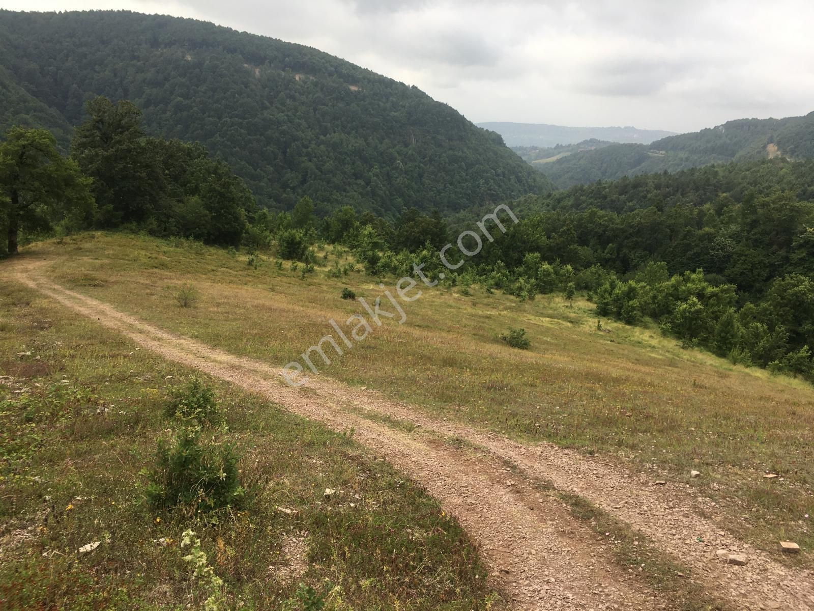 Ereğli Üçköy Köyü Satılık Tarla KDZ EREĞLİ UMUT EMLAK TAN ÜÇKÖY DE SATILIK TARLA