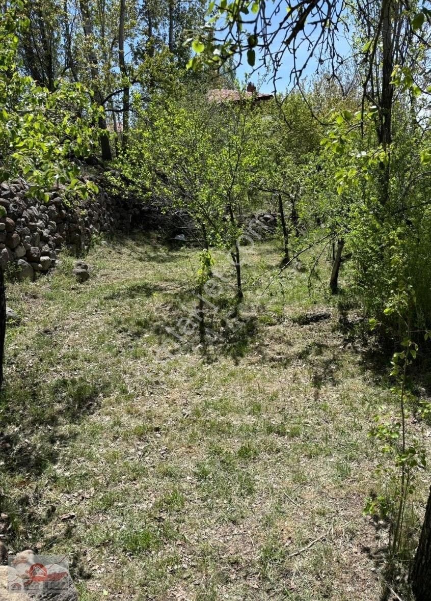 Niğde Merkez Yeşilburç Köyü Satılık Bağ & Bahçe yeşilburç da satılık bahçe