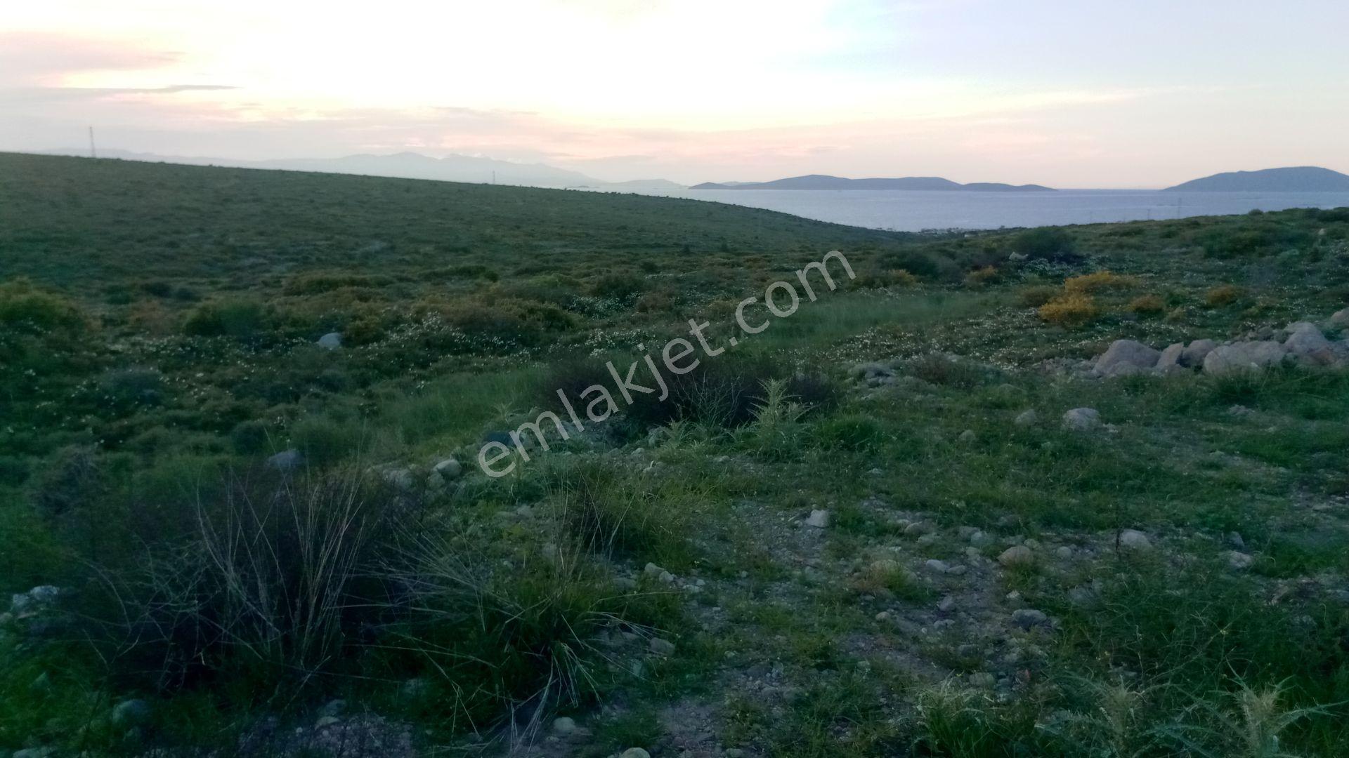 R8-çeşme Germiyan Full Deniz Manzaralı 500 M2 Arsa - Görsel 3