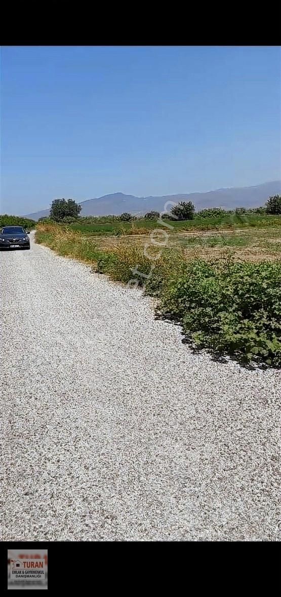 Menemen Ahıhıdır Satılık Tarla TURAN GAYRİMENKULDEN AHIHIDIR'DA TARLA