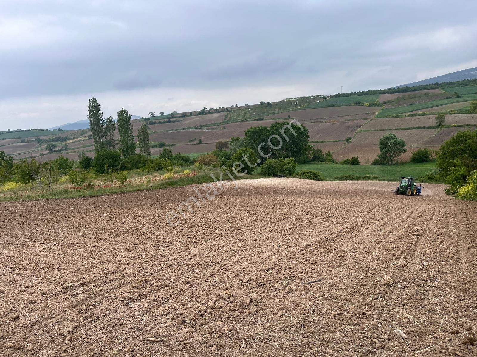 Yenişehir Kavaklı Satılık Tarla Roma' Dan Kavaklı' Da Satılık Tarla