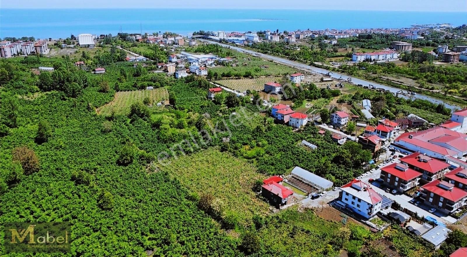 Perşembe Efirli Satılık Konut İmarlı MABEL GAYRİMENKUL-EFİRLİ MAH-GLORY DÜĞÜN SALONU ARKASI ARSA