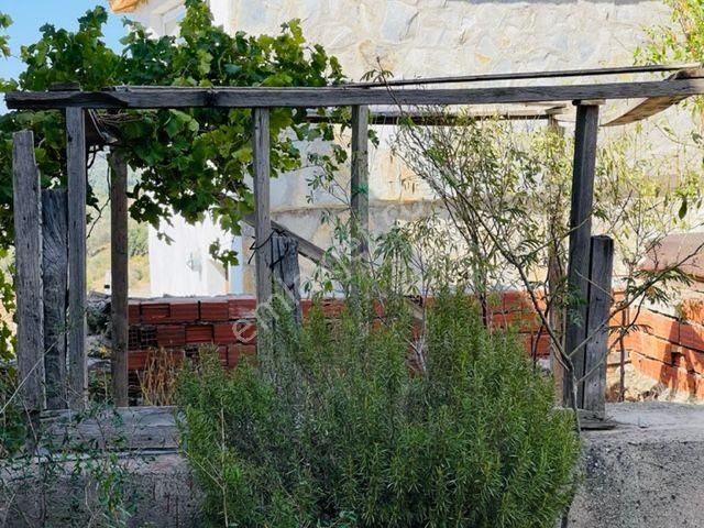 801-deniz Manzaralı Oturulabilir Durumda Köy Evi - Görsel 31