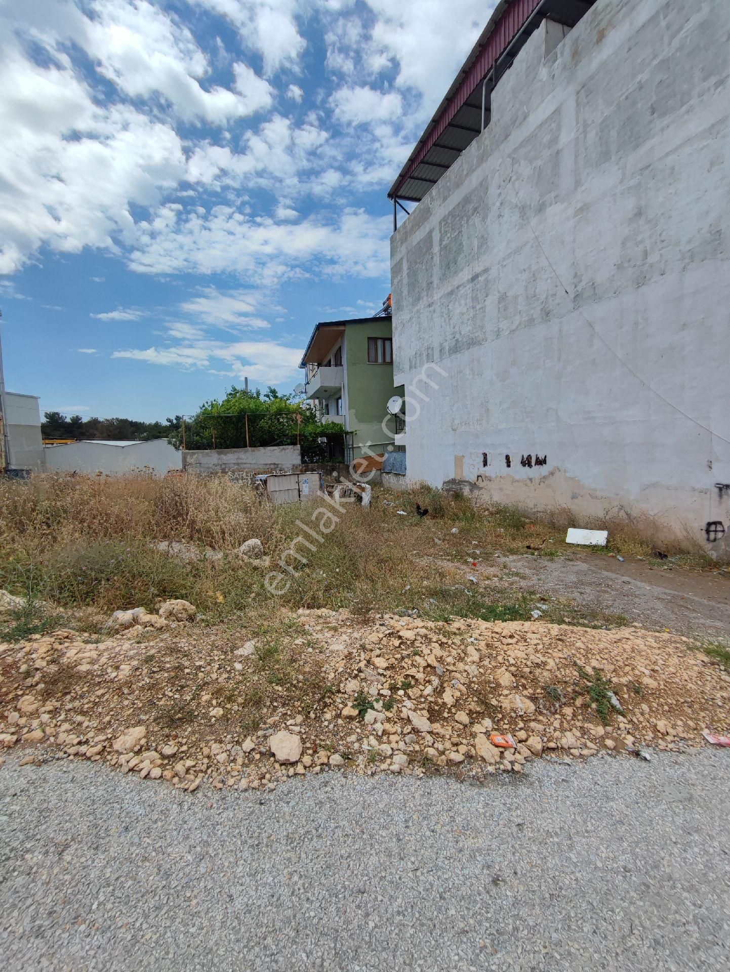 Ulduruk Depo Tarla Müstakil 285 Mk - Görsel 7