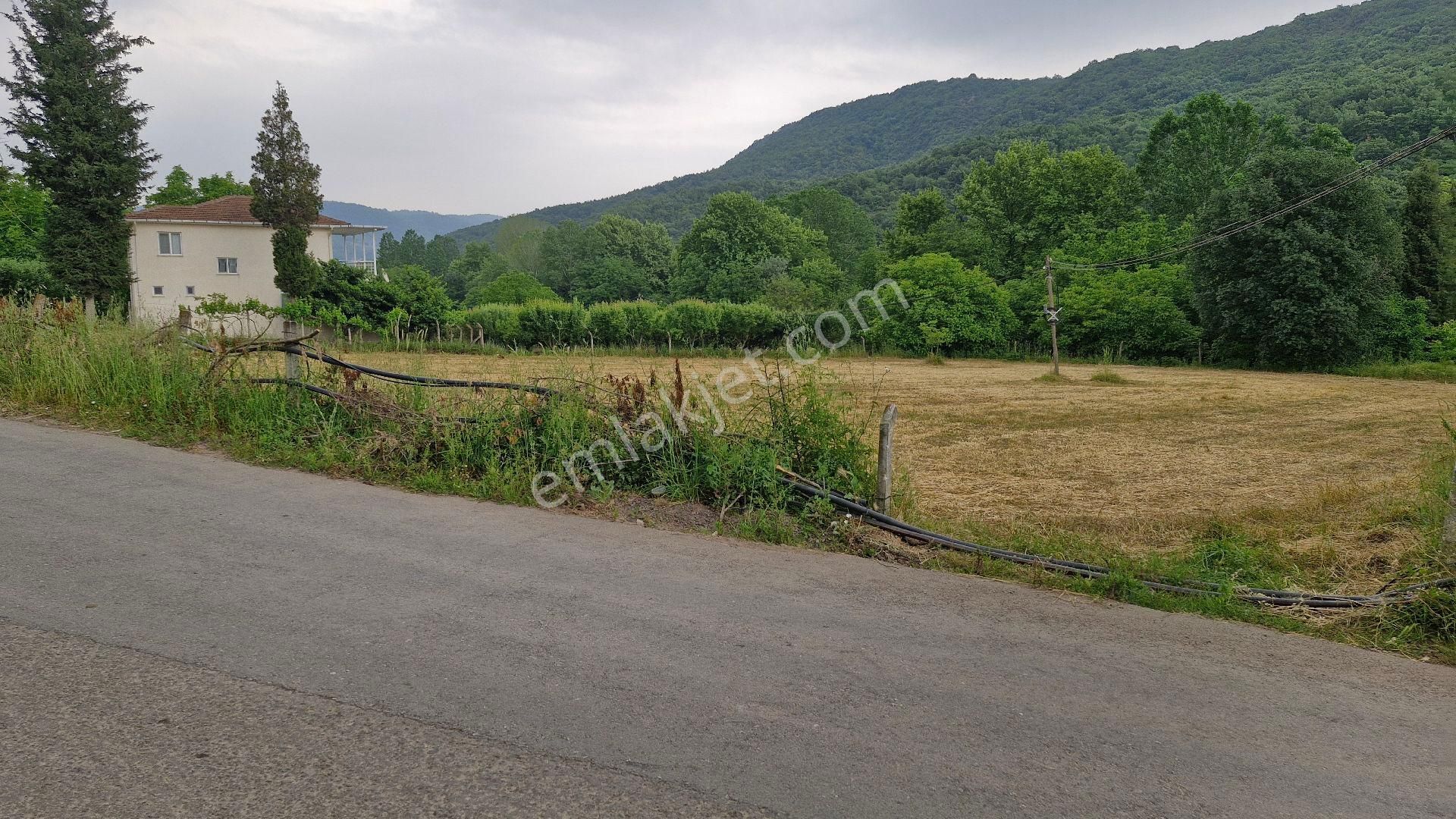 Yalova Altınova Karadere 2799 M² Konut İmarlı Satılık Arsa