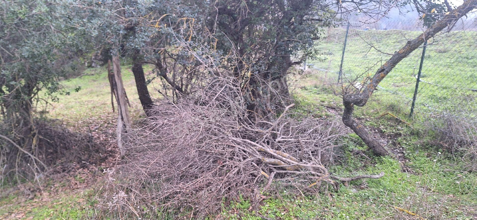 Çanakkale Merkez Çiftlikdere Köyü Satılık Tarla Çanakkale merkez çiflikdere köyünde satılık arsa