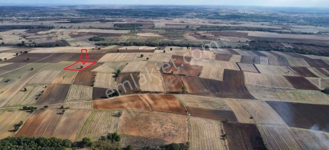 Edirne Merkez Büyükdöllük Köyü Satılık Tarla Edirne/merkez Büyük Döllük Köyünde Satılık Tarla