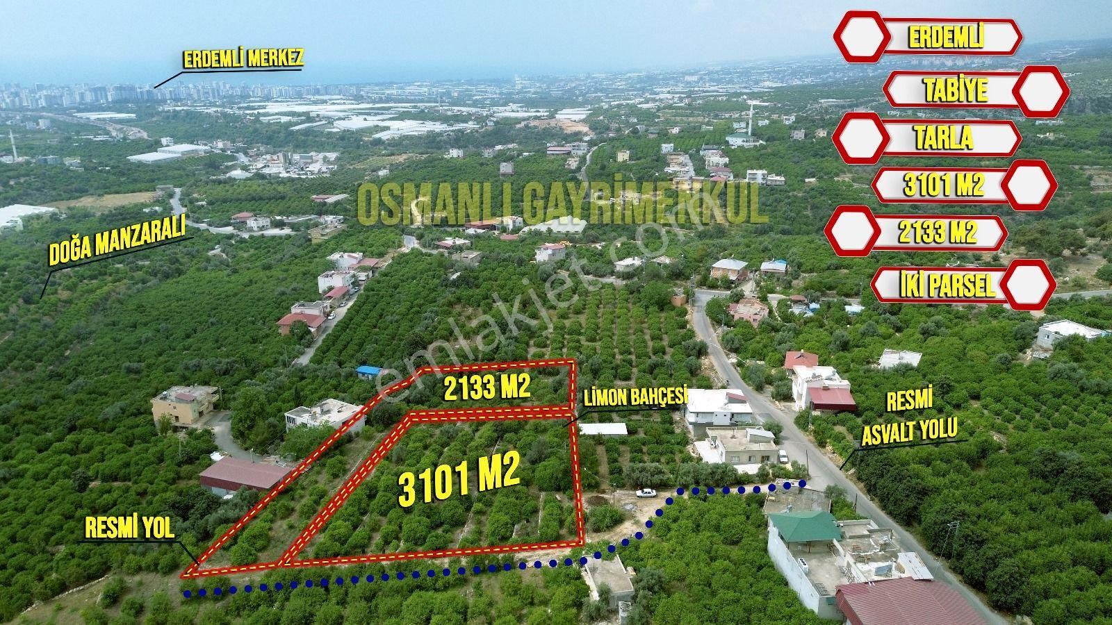 Erdemli Tabiye Satılık Bağ & Bahçe Erdemli Tabiye Mahallesi Satılık 5234 M2 2 Parsel