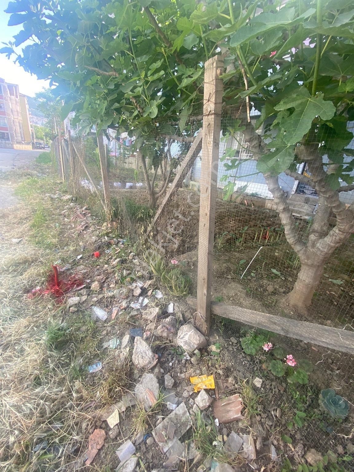 Bursa Osmangazi Sırameşelerde Acil Arsa - Görsel 4