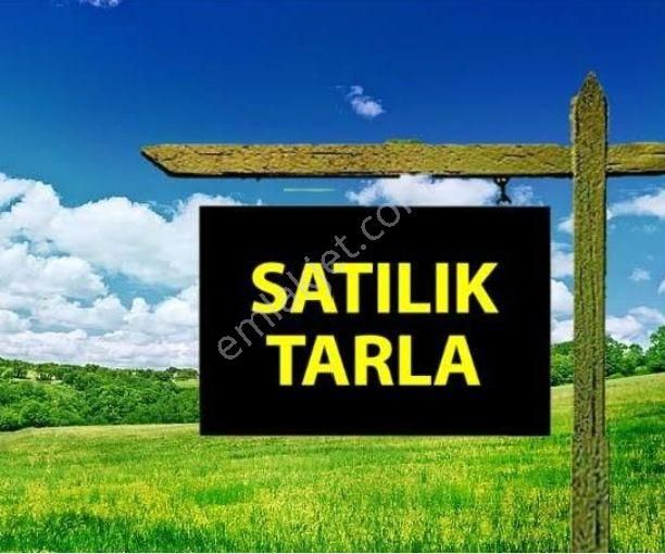 Acıpayam Aşağı Satılık Tarla ACISELSAN ALTI SATILIK TARLA 