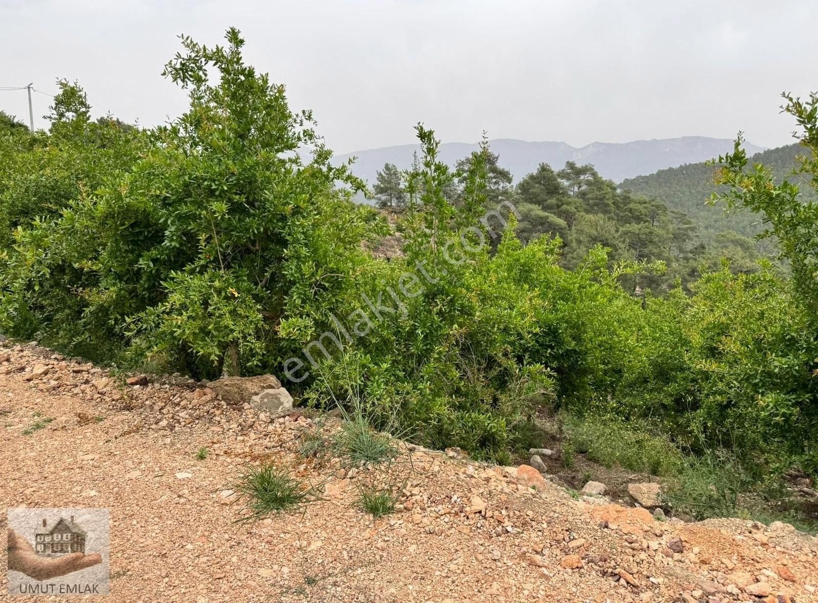 Kumluca Yeni Satılık Tarla ANTALYA KUMLUCA NAR BAHÇESİ