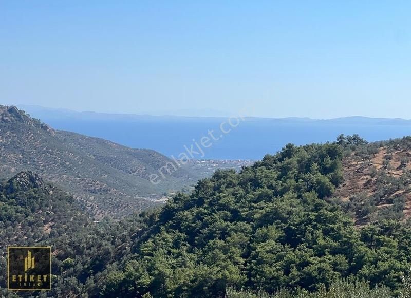 Ayvacık Küçükçetmi Köyü (Çetmibaşı Telligıran) Satılık Tarla ETİKET'TEN KÜÇÜKÇETMİ KÖYÜNE BAĞLI 928M KÖŞEBAŞI TARLA