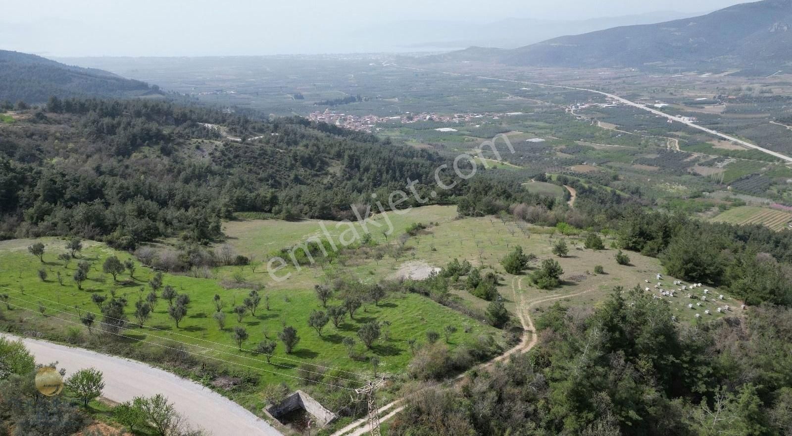 İznikte Panaromik Göl Manzaralı Satılık Arazi - Görsel 2