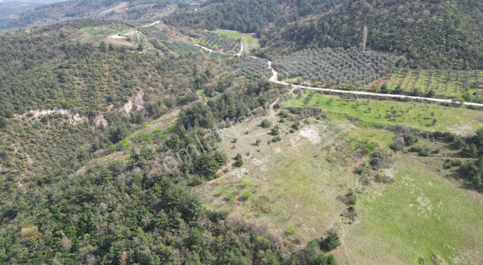 İznikte Panaromik Göl Manzaralı Satılık Arazi - Görsel 6