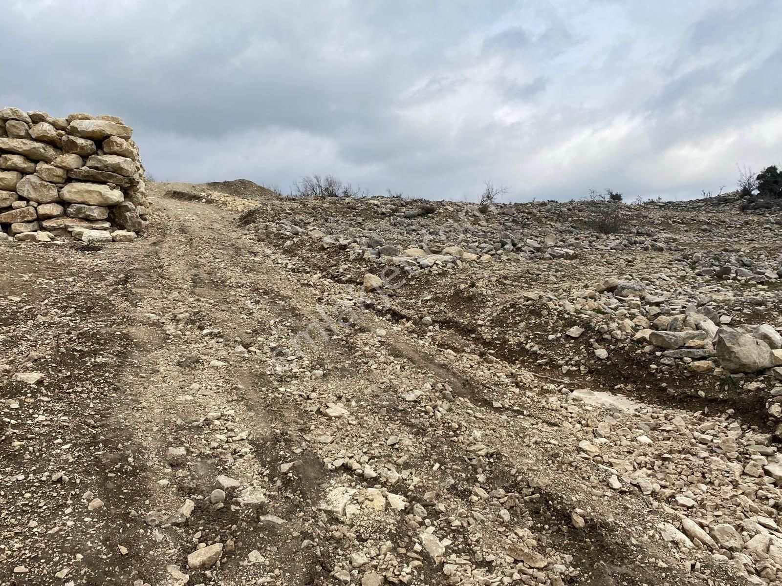 Tarsus Gömmece Satılık Tarla Sezgin Emlak Tan Tarsus Gömmece Mahallesinde Tek Tapulu Satılık Tarla 5276 M2