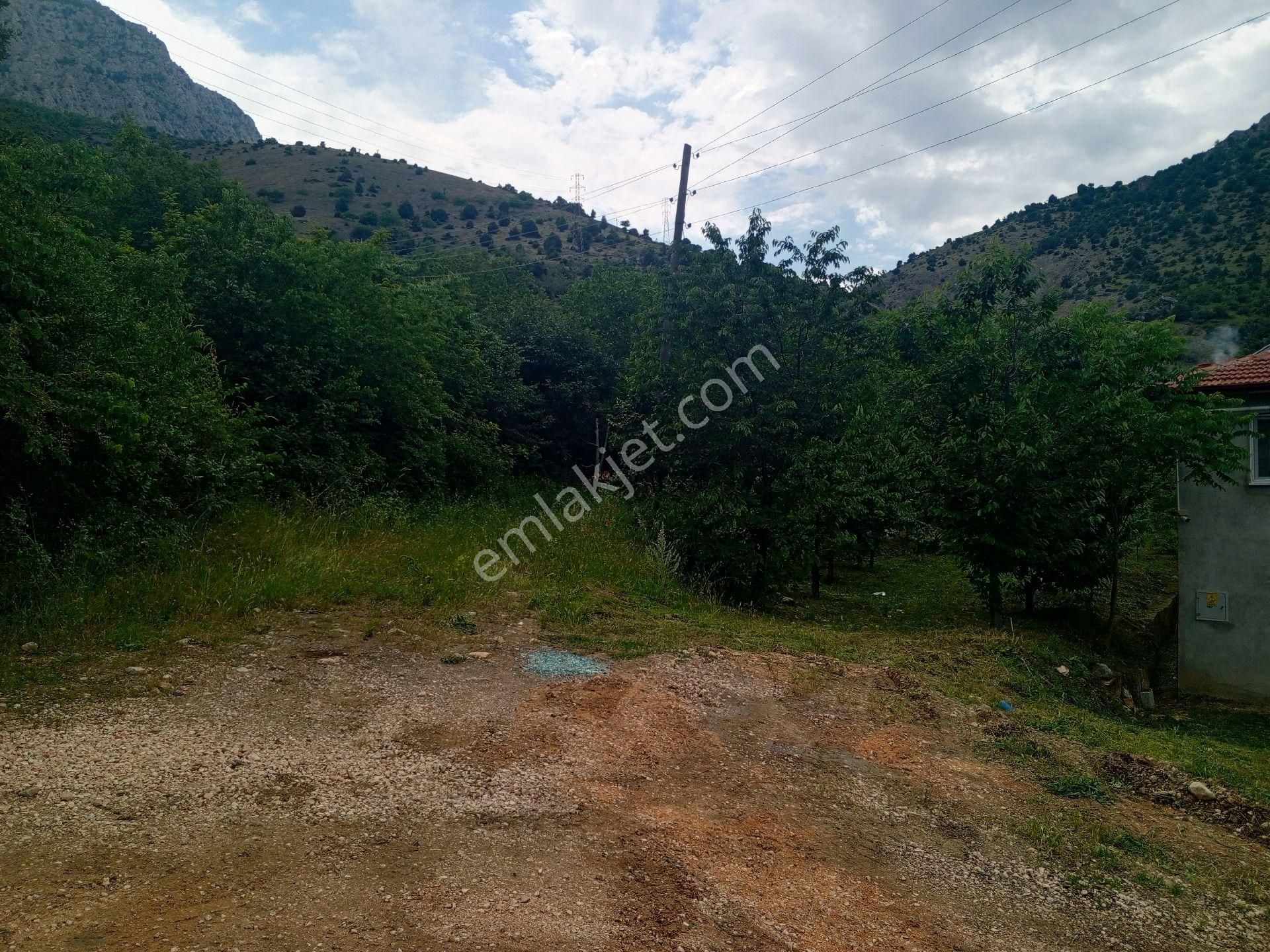 Amasya Merkez Yassıçal Köyü (Filingirler) Satılık Bağ & Bahçe hobı bahcesı 