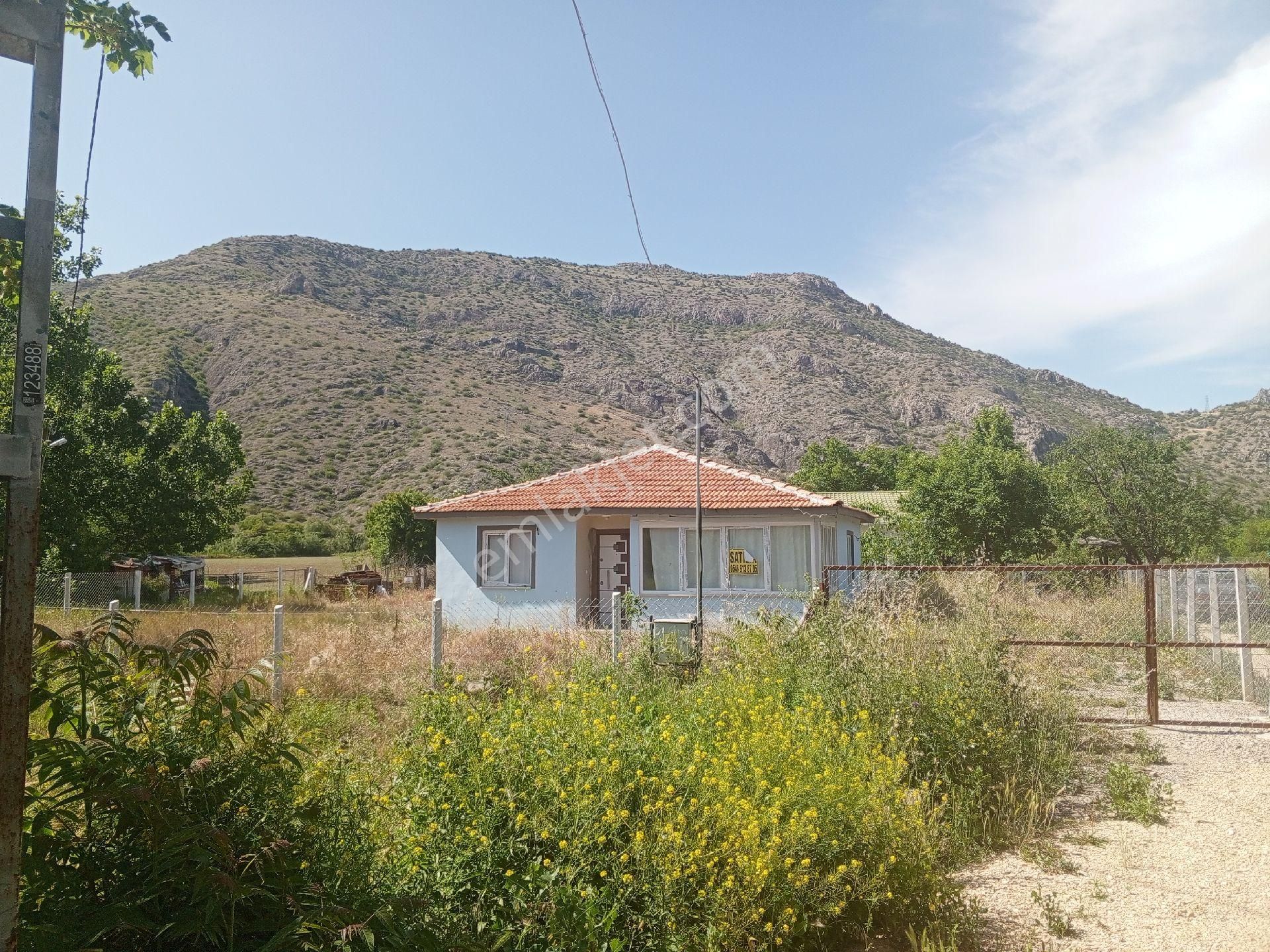 Amasya Merkez Helvacı Satılık Bağ & Bahçe hobı bahcesı