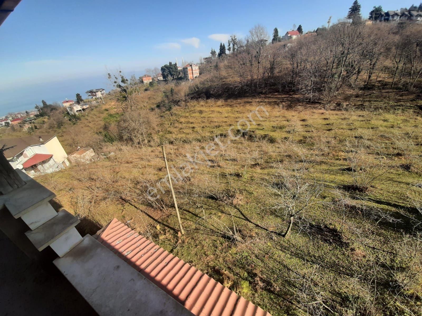 Çilekli Mah.(pelitli) Satılık Arazi Deniz Manzaralı 6.600m2!!!! - Görsel 13