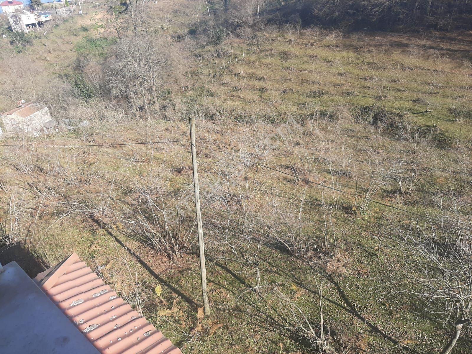 Çilekli Mah.(pelitli) Satılık Arazi Deniz Manzaralı 6.600m2!!!! - Görsel 15