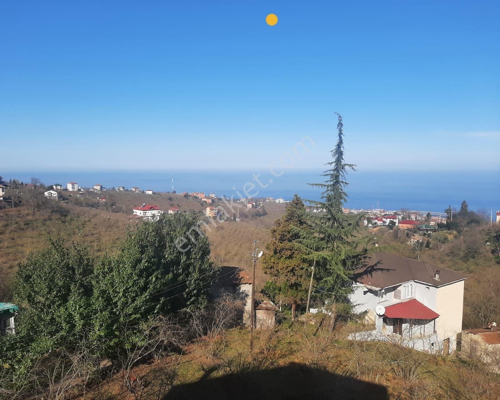 Ortahisar Çilekli Satılık Arazi Çilekli Mah.(pelitli) Satılık Arazi Deniz Manzaralı 6.600m2!!!!