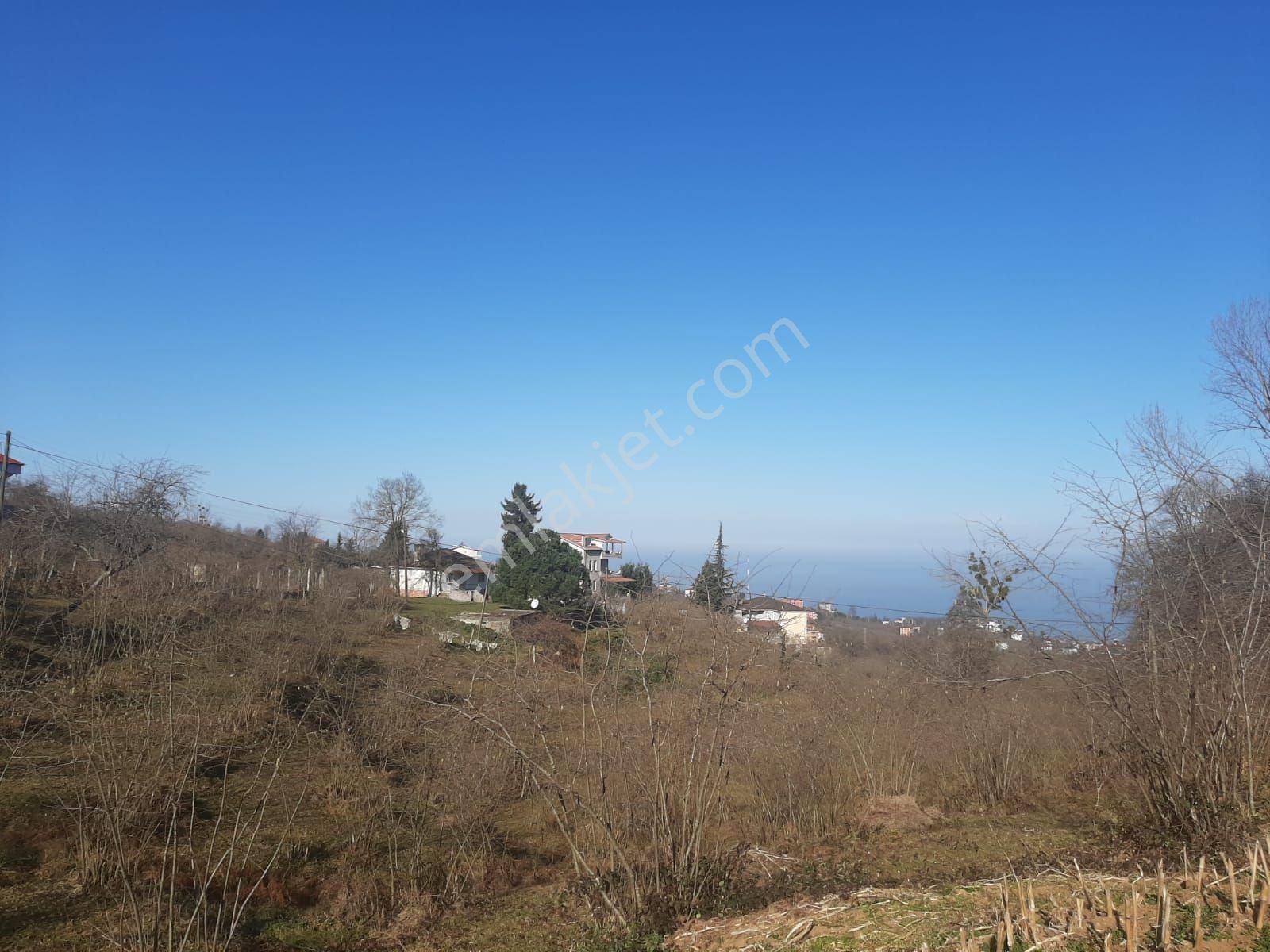 Çilekli Mah.(pelitli) Satılık Arazi Deniz Manzaralı 6.600m2!!!! - Görsel 16