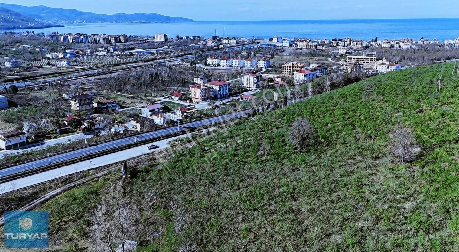 Altınordu Boztepe Satılık Bağ & Bahçe ORDU KUMBAŞI MAHALLESİNE KOMŞU 1435 M2 SATILIK DÜZ BAĞ&BAHÇE