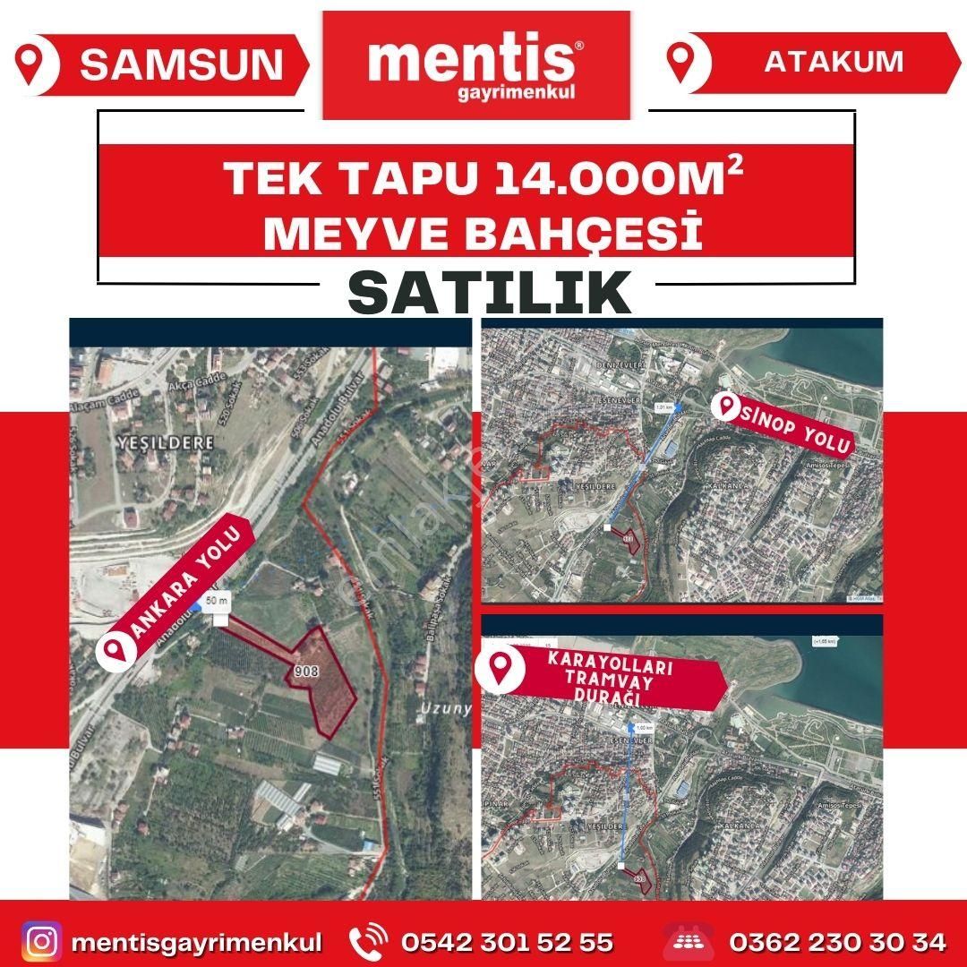 Atakum Yeşildere Satılık Bağ & Bahçe MENTİS GAYRİMENKUL'DEN ANKARA YOLUNA 50M  İMAR SINIRINDA MEYVE BAHÇESİ/ÇİFTLİK