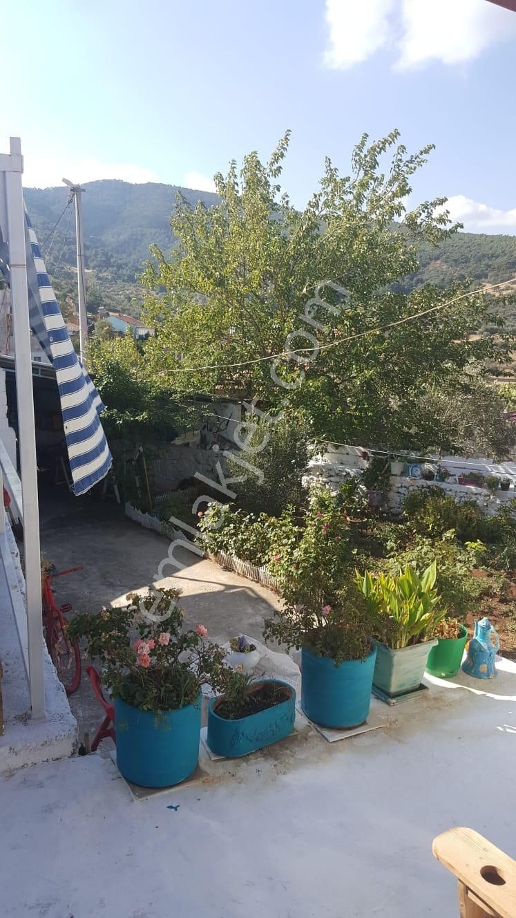 Burhaniye Dutluca Mah. 350 M2 Arsa İçerisinde Satılık Köyevi! - Görsel 3