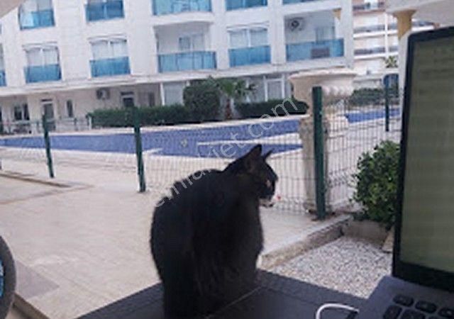 Antalya Konyaaltı Bahçe Katı Günlük Kiralık Daire KONYAALTI  HURMA DA EŞYALI 1+1 DAİRE