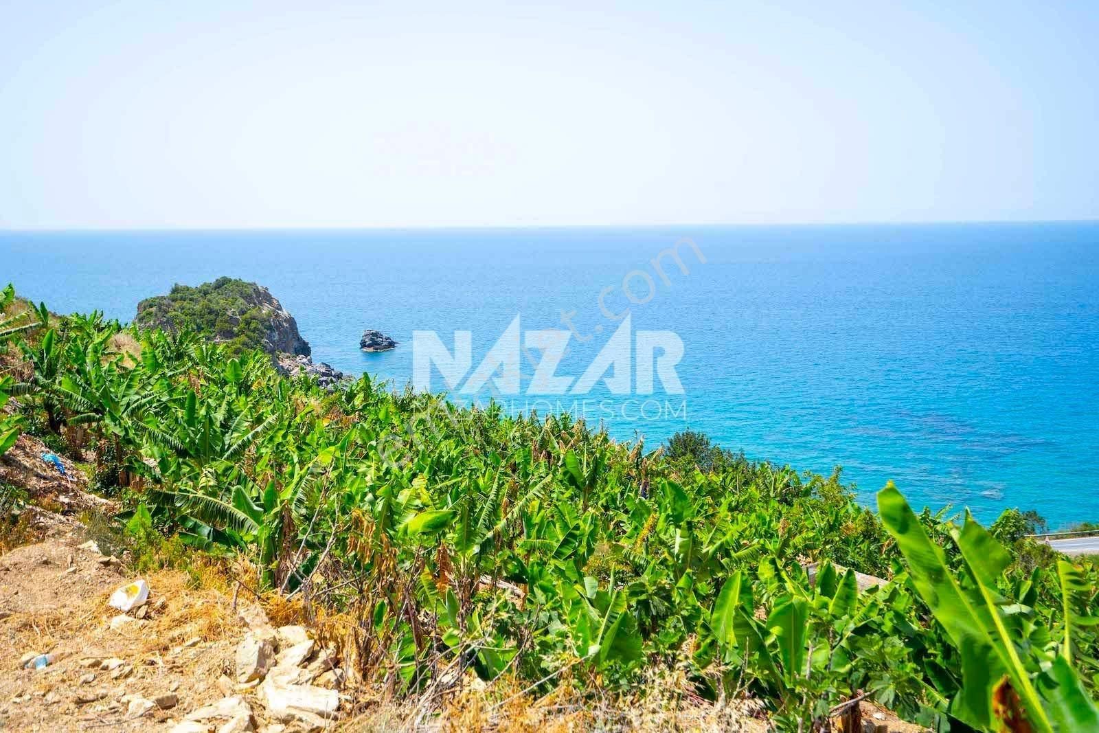 Alanya Uğrak’da Denize Sıfır 1.304 M² Tarla - Görsel 19