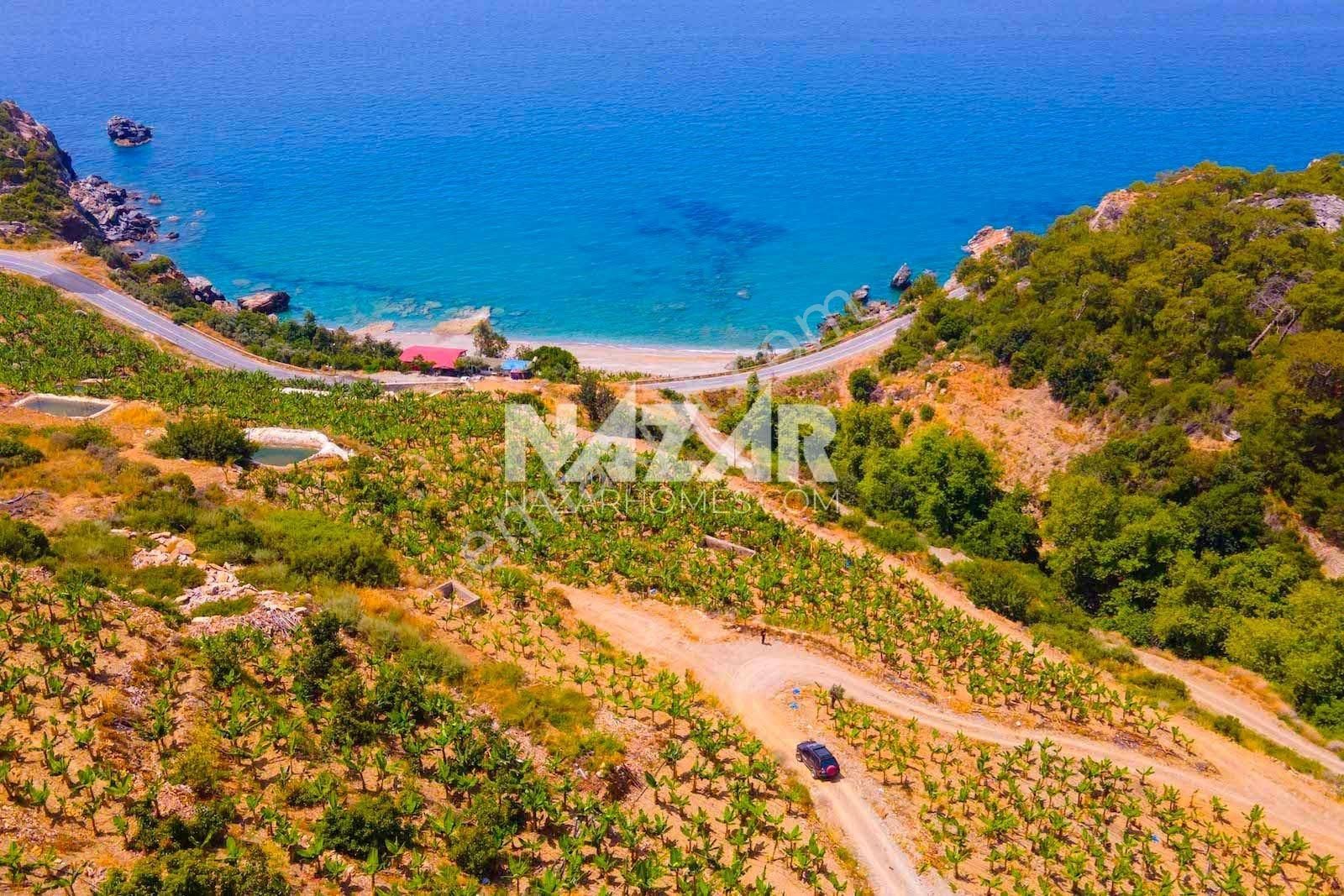 Alanya Uğrak’da Denize Sıfır 1.304 M² Tarla - Görsel 21