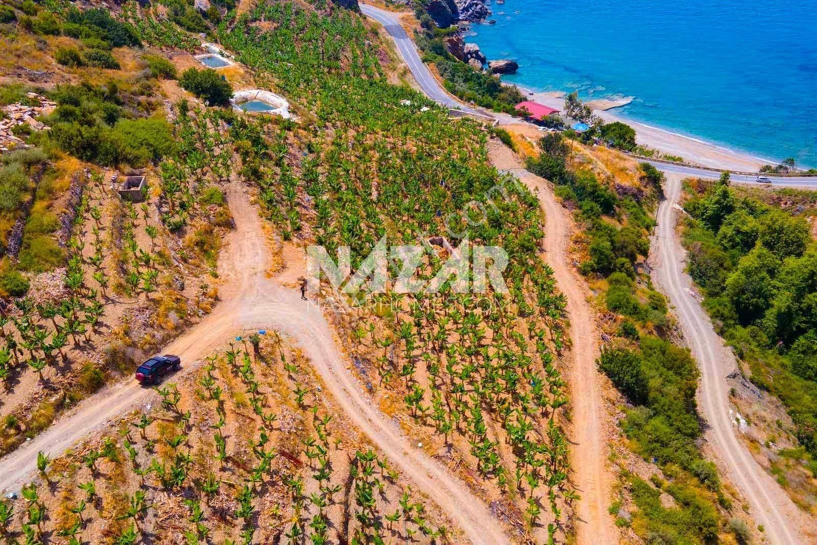 Alanya Uğrak’da Denize Sıfır 631 M² Tarla - Görsel 12