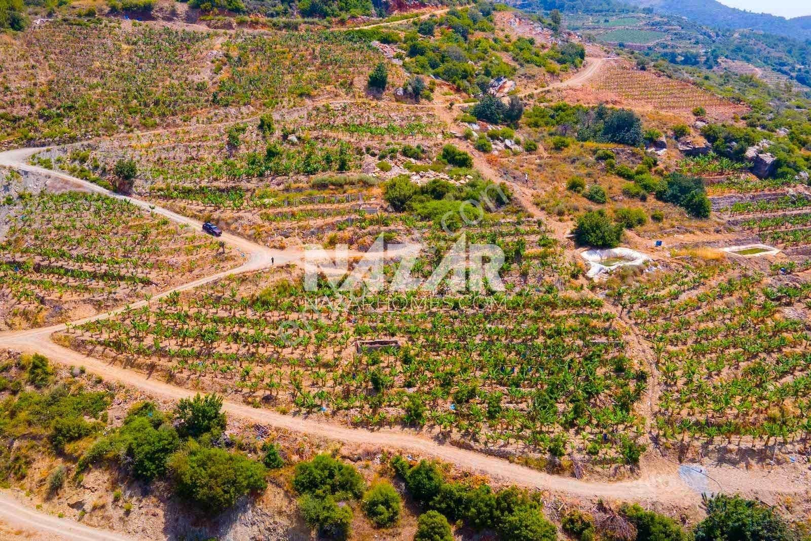 Alanya Uğrak’da Denize Sıfır 631 M² Tarla - Görsel 13